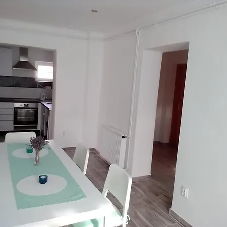 Nefelejcs Vendeghaz Guest house *